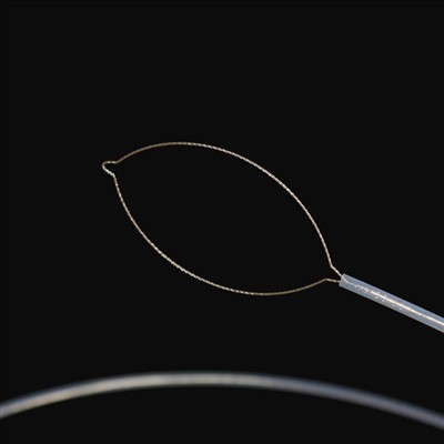 Forsa di Kurpa Stranhero di Estranheria di Jaw