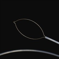 Prong Tipo di Cuerpo di Curpa Exterior di Tipo